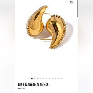 BEAUTIFUL EARRINGS!!!